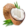 Coconut नारियल