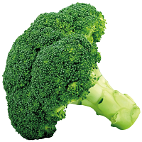 Broccoli ब्रोकली