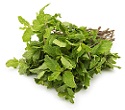 Mint leaves पुदीना