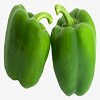 Capsicum Green शिमला मिर्च