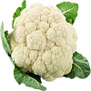 Cauliflower गोभी