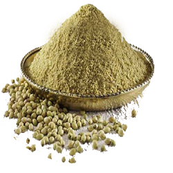 Pure Dhaniya Powder