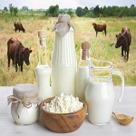 Fresh buffalo Milk