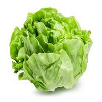 Iceberg Lettuce