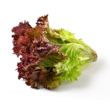 Red lettuce