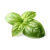 Basil leaves