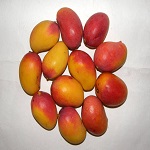 Gulab khas Mango