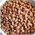 Chironji dry fruit