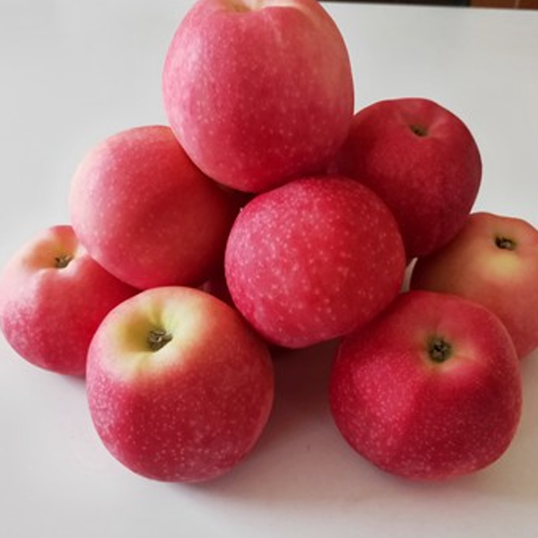 small size Indian apple