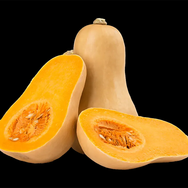 BUTTERNUT SQUASH