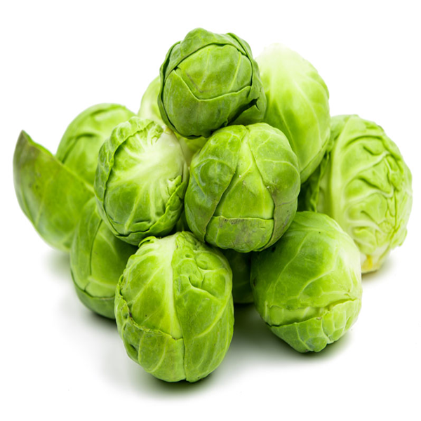 BRUSSELS SPROUT