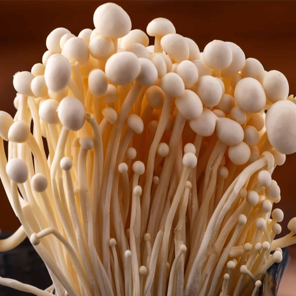 ENOKI MUSHROOMS