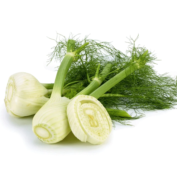 FENNEL FRESH