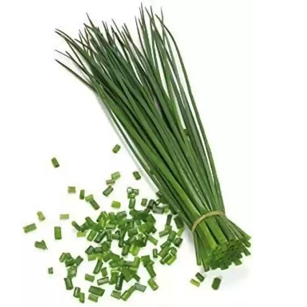 HERB CHIVES