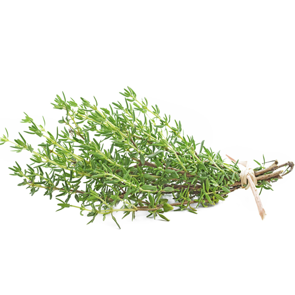 HERB THYME