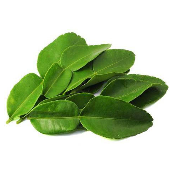 KAFFIR LIME LEAVES