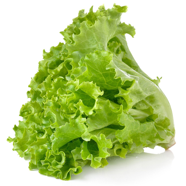 LETTUCE GREEN