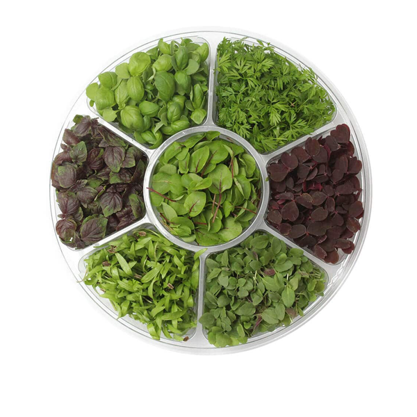 MICROGREENS MIX LIVE